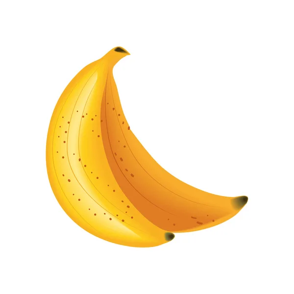 Realistic Fruit Banana Isolated Icon — Vetor de Stock
