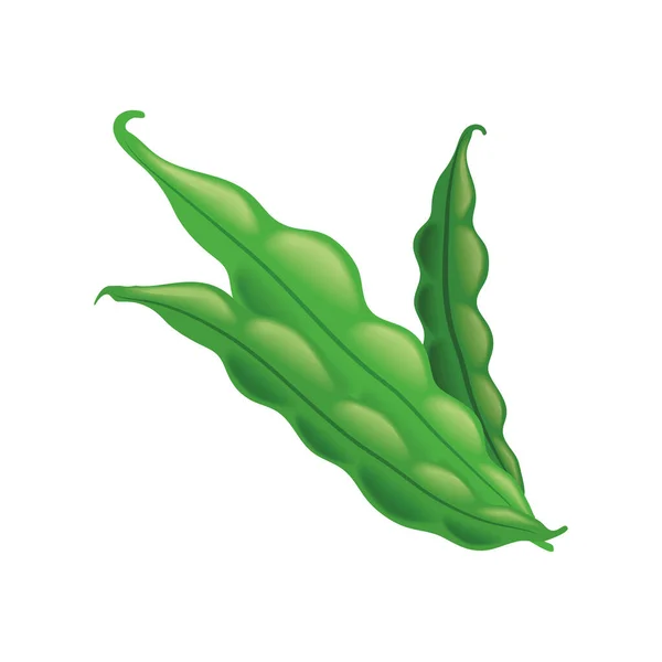 Realistic Vegetable Peas Isolated Icon — Stockvektor