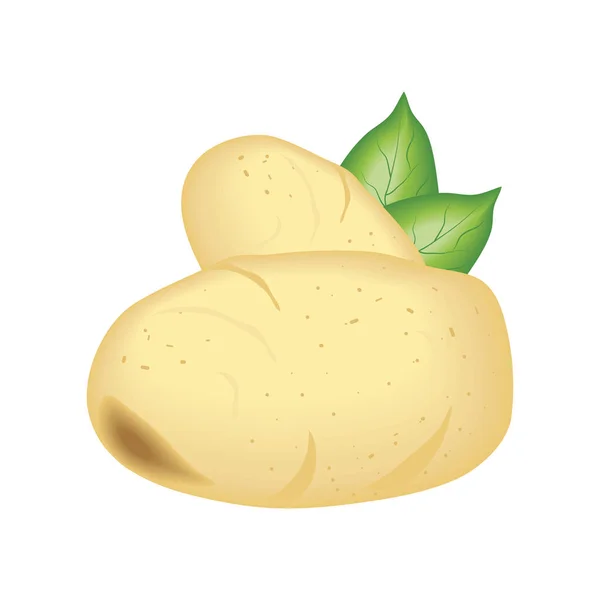 Realistic Vegetable Potatoes Isolated Icon — Stockvektor
