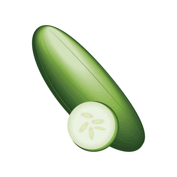 Realistic Vegetable Cucumber Isolated Icon — Vetor de Stock