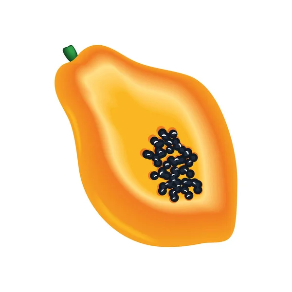 Realistic Fruit Papaya Isolated Icon — Vetor de Stock