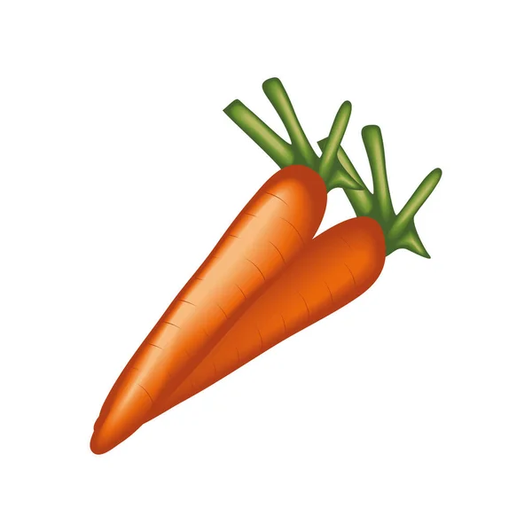 Realistic Vegetable Carrot Isolated Icon — Vetor de Stock