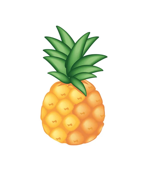 Realistic Fruit Pineapple Isolated Icon — Stockvector