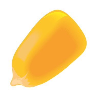 corn seed isolated realistic icon