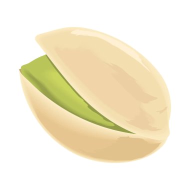 pistachio nut isolated realistic icon