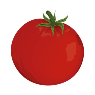 tomato vegetable realistic icon isolated
