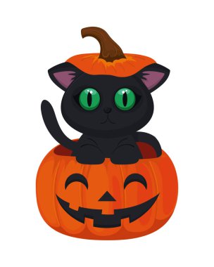 halloween cat on pumpkin isolated icon