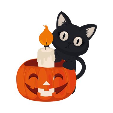 halloween cat and candle isolated icon