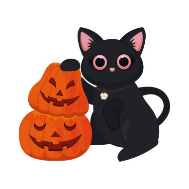 halloween cat with pumpkins isolated icon