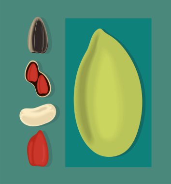 nuts and beans icon collection, realistic design