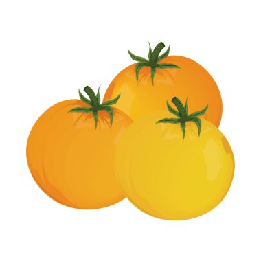 tomatoes vegetable realistic icon isolated