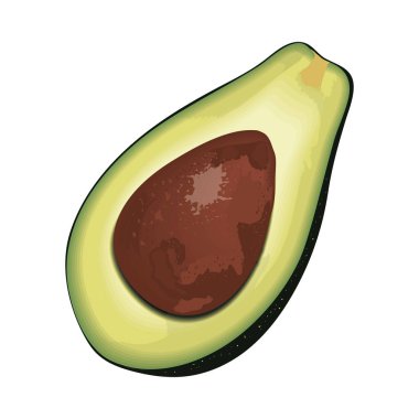 avocado vegetable realistic icon isolated