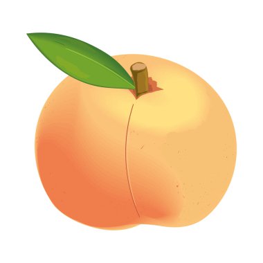 peach fruit realistic isolated icon