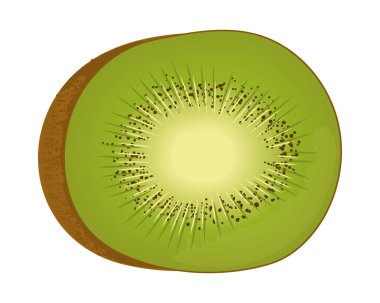 kiwi fruit realistic isolated icon