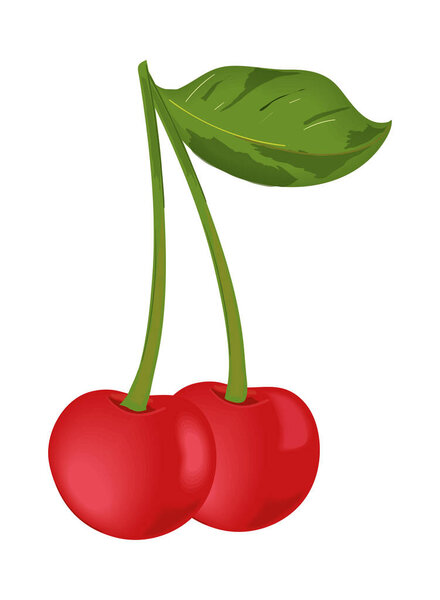 cherry fruit realistic isolated icon