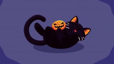 happy halloween animation with cat and pumpkin ,4k video animated