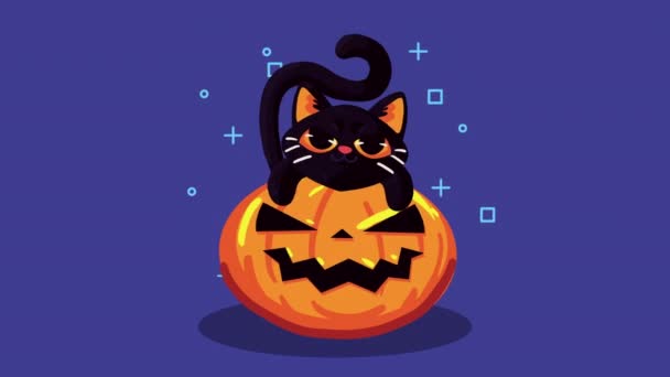 Happy Halloween Animation Cat Pumpkin Video Animated — Stockvideo