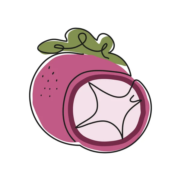 Mangostan Fruchtlinie Zeichensymbol — Stockvektor