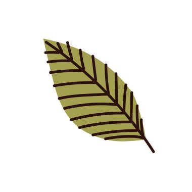 Yaprak doğa simgesi düz izole