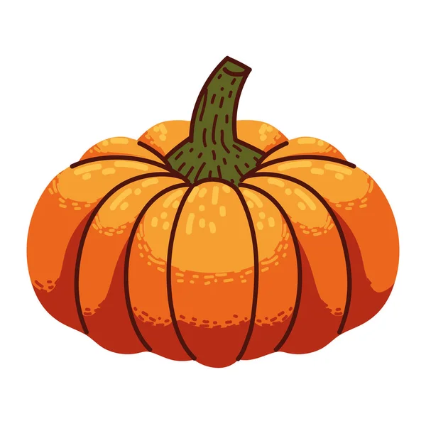 Pumpkin Vegetable Icon Flat Isolated — Stock Vector