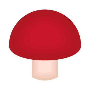 mantar kağıdı resim simgesi izole