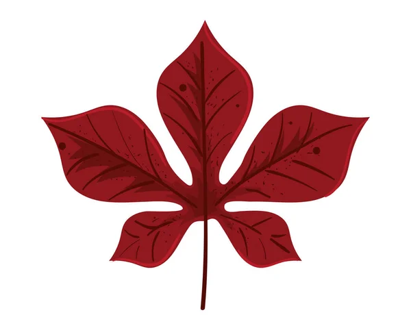 Blatt Laub Herbst Symbol Isoliert — Stockvektor