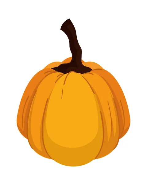 Fresh Pumpkin Icon Isolated Flat — Stock Vector