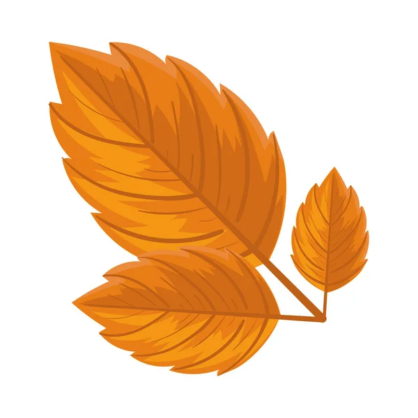 Autumn Leaf Icon Isolated Flat — Stock Vector