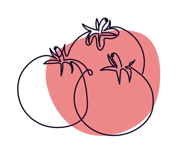 Tomates Verduras Línea Dibujo Icono Aislado — Vector de stock