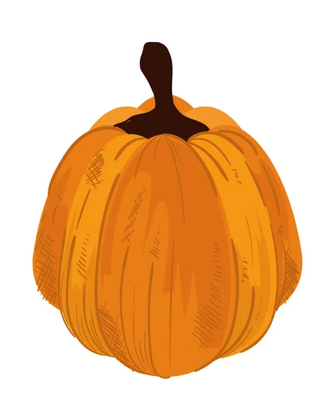 Icono Calabaza Fresca Aislado Plano — Vector de stock