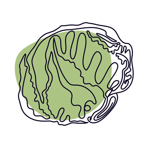 marul çizimi simgesi izole edildi