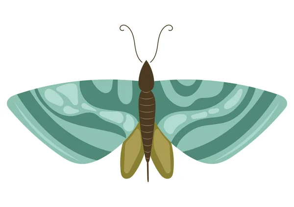 Papillon Sur Fond Blanc Icône — Image vectorielle