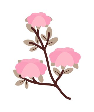 Sakura ağacı çiçek ikonu izole