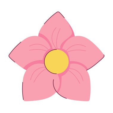 Sakura çiçeği izole edilmiş düz simge