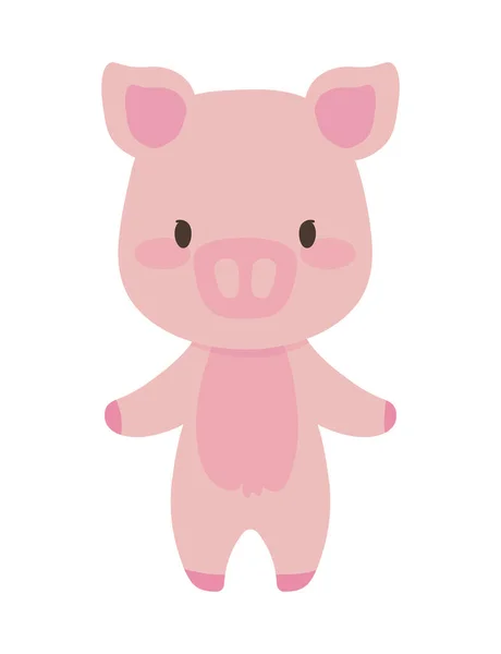 猪可爱的动物图标隔离 — 图库矢量图片