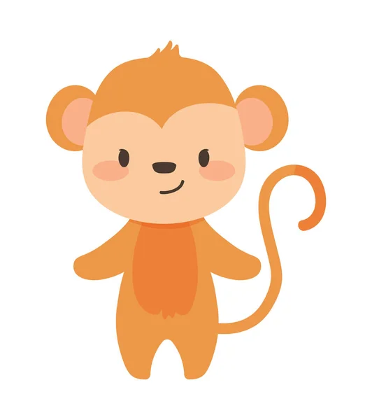 Macaco Bonito Ícone Animal Isolado — Vetor de Stock