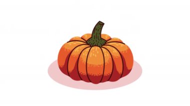 balkabağı sebze sonbahar animasyonu, 4k video animasyonu