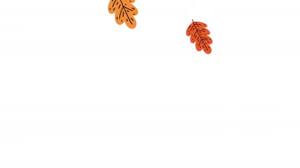 Autumn Season Leafs Pattern Animation Video Animated — ストック動画