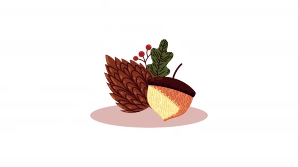 Autumn Season Dry Seeds Animation Video Animated — Stock Video