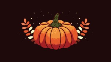 balkabağı sebze sonbahar animasyonu, 4k video animasyonu