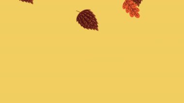 Sonbahar sezonu yaprakları desen animasyonu, 4k video animasyonu