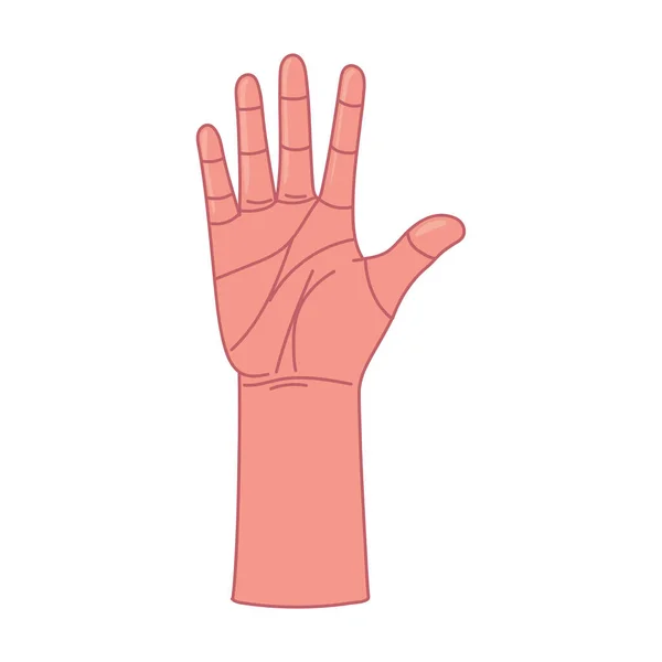 Поднятая Иконка Открытой Руки — стоковый вектор