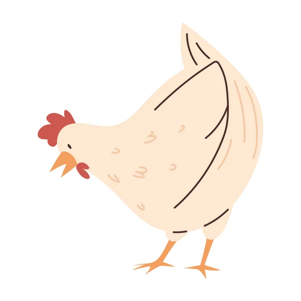 Kyckling Fågel Djur Ikon Isolerad — Stock vektor