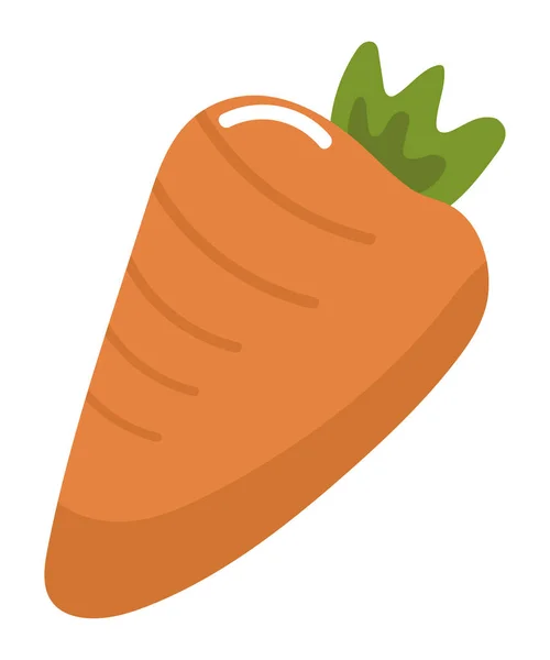 Zanahoria Icono Vegetal Plano Aislado — Vector de stock