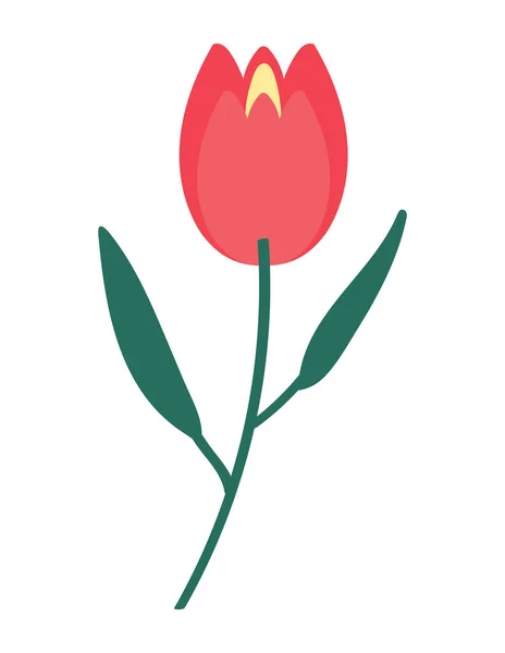 Flat Flower Tulip Isolated Icon Style — Stock Vector