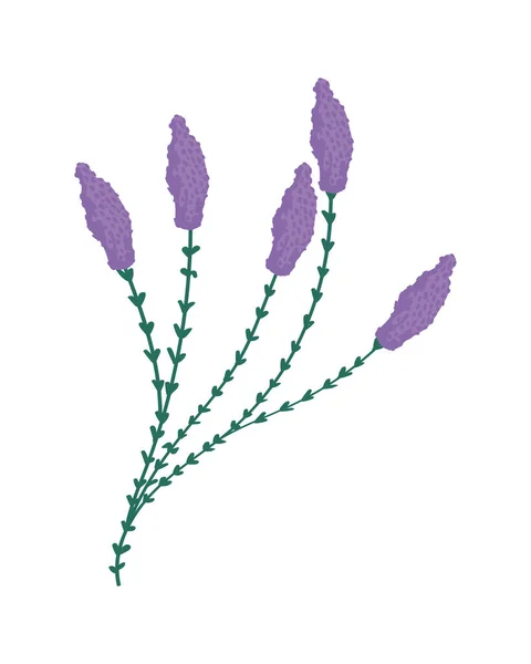 Ikona Izolované Ploché Fialové Květiny — Stockový vektor