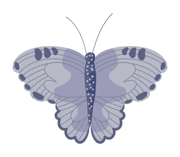 Flat Butterfly Ontwerp Icoon Geïsoleerd — Stockvector