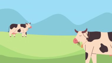 Manzarada iki inek, 4k video animasyonu