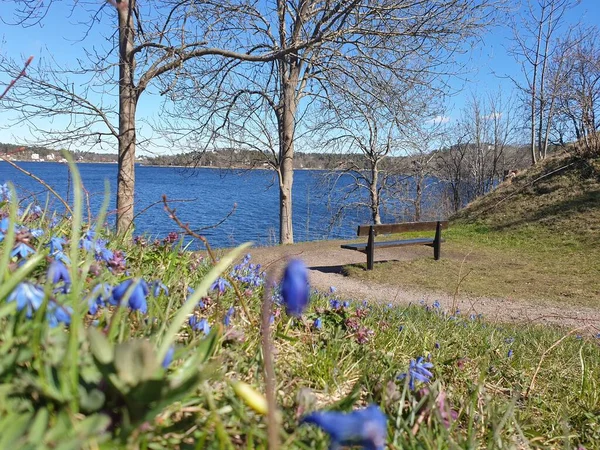 Mooie Zweedse Stad Vaxholm Het Voorjaar — Stockfoto