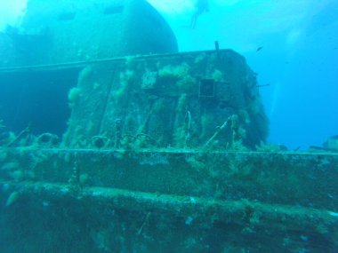 Güzel bir dalışın tadını çıkarıyorum.